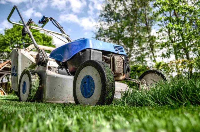 Grass Cutting Machine